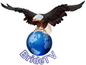 Bride TV