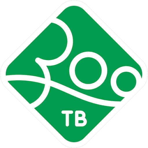 ╨ù╨╛╨╛ ╨ó╨Æ