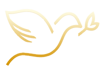 Lighting Lives Blessing Nations TV Romanian