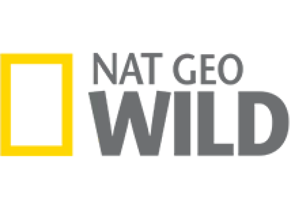 National Geographic Wild HD