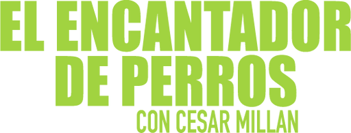 Pluto TV El Encantador de Perros