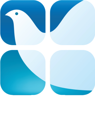 Shalom Global