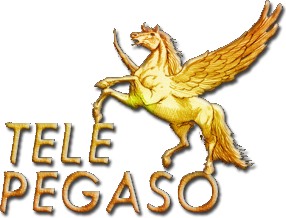 Tele Pegaso Catania