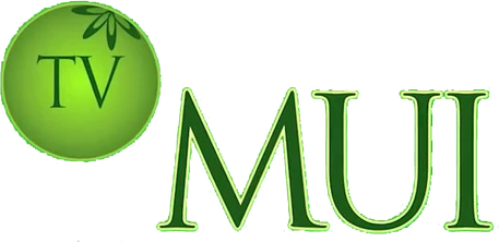 TV MUI