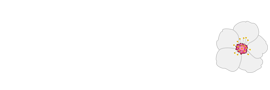 TV San Vicente