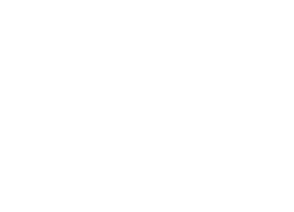 Zoom Global